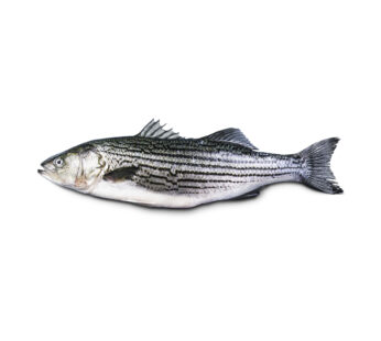 Lobina Rayada  Cultivo Sustentable Fresca 3kg